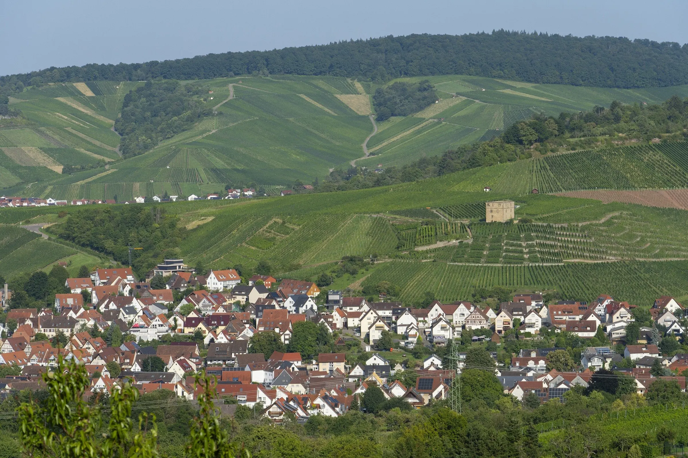 Kernen Stetten mit Yburg in den Weinbergen