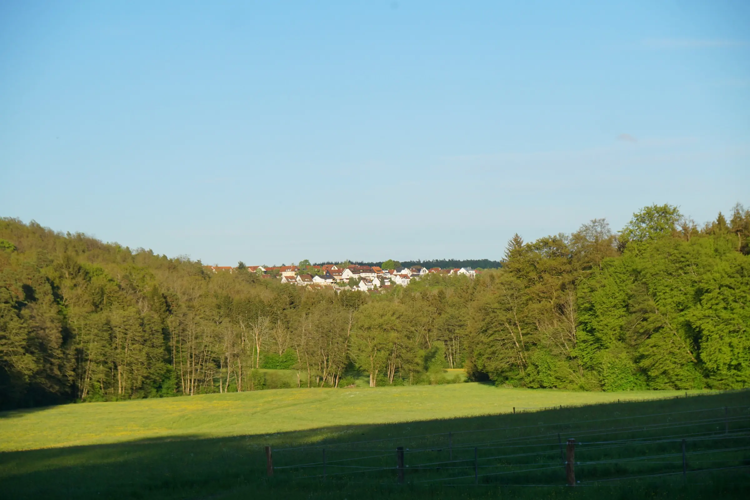 Blick aus dem Sulzbachtal auf die Häuser von Steinenbronn über dem Waldrand, aufgenommen im Mai 2021