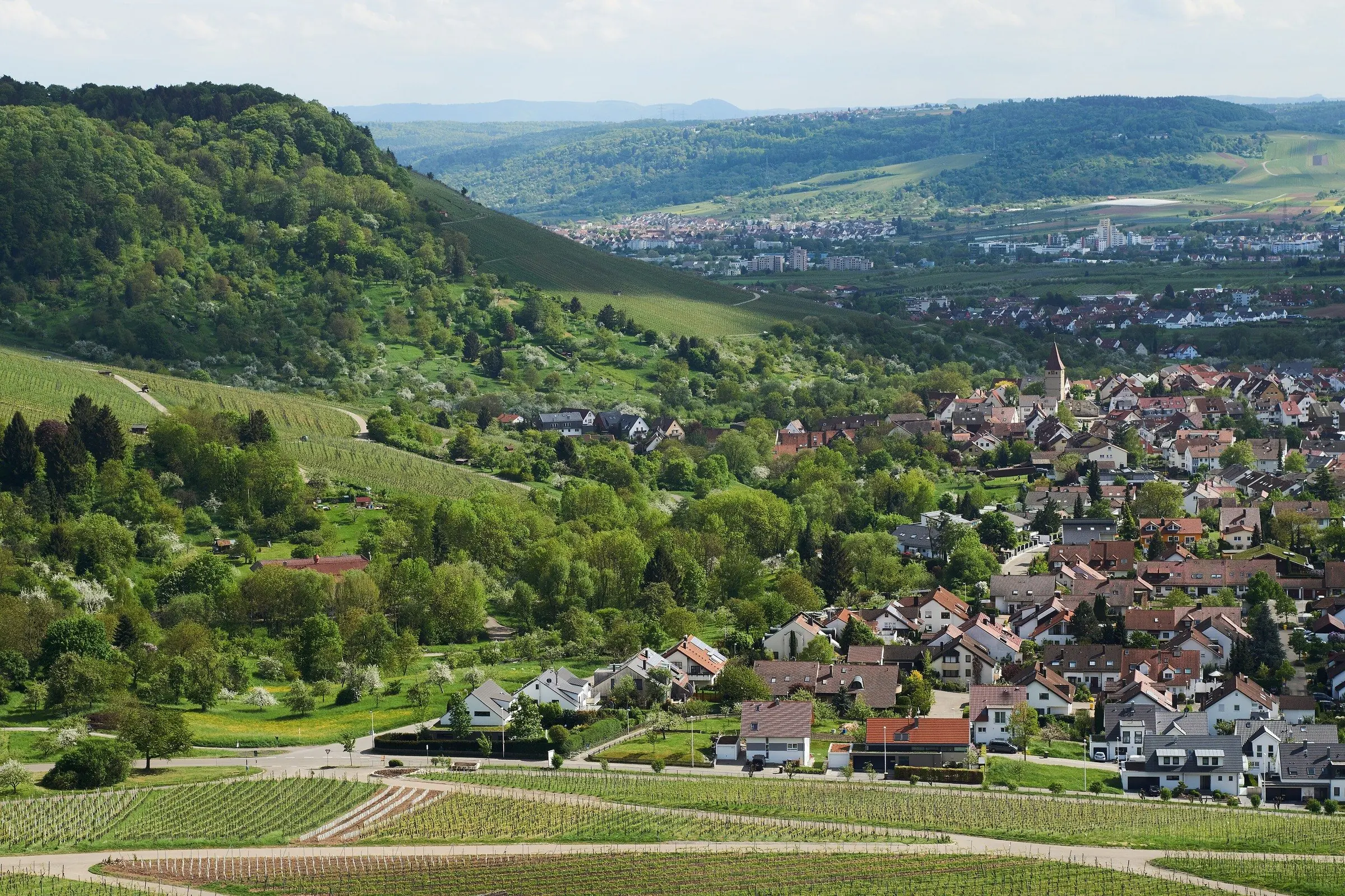 Korb mit Weinbergen und Kleinheppacher Kopf im Frühling