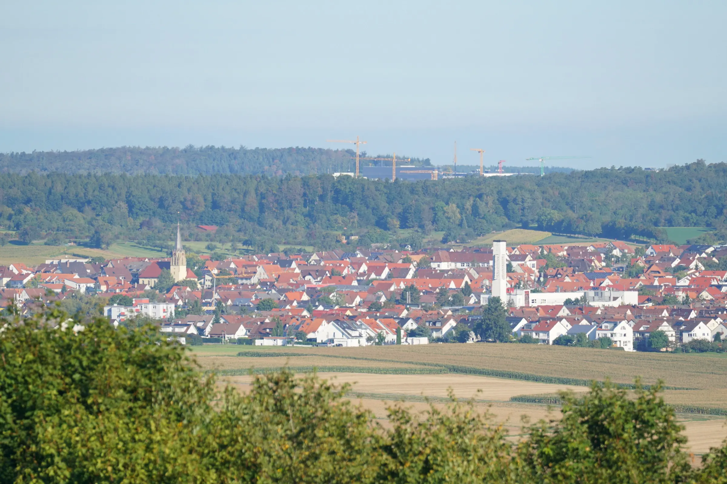 Blick vom Eltinger Blick über Felder auf Rutesheim mit Kirchturm, dahinter Wald